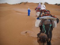 Trek Maroc